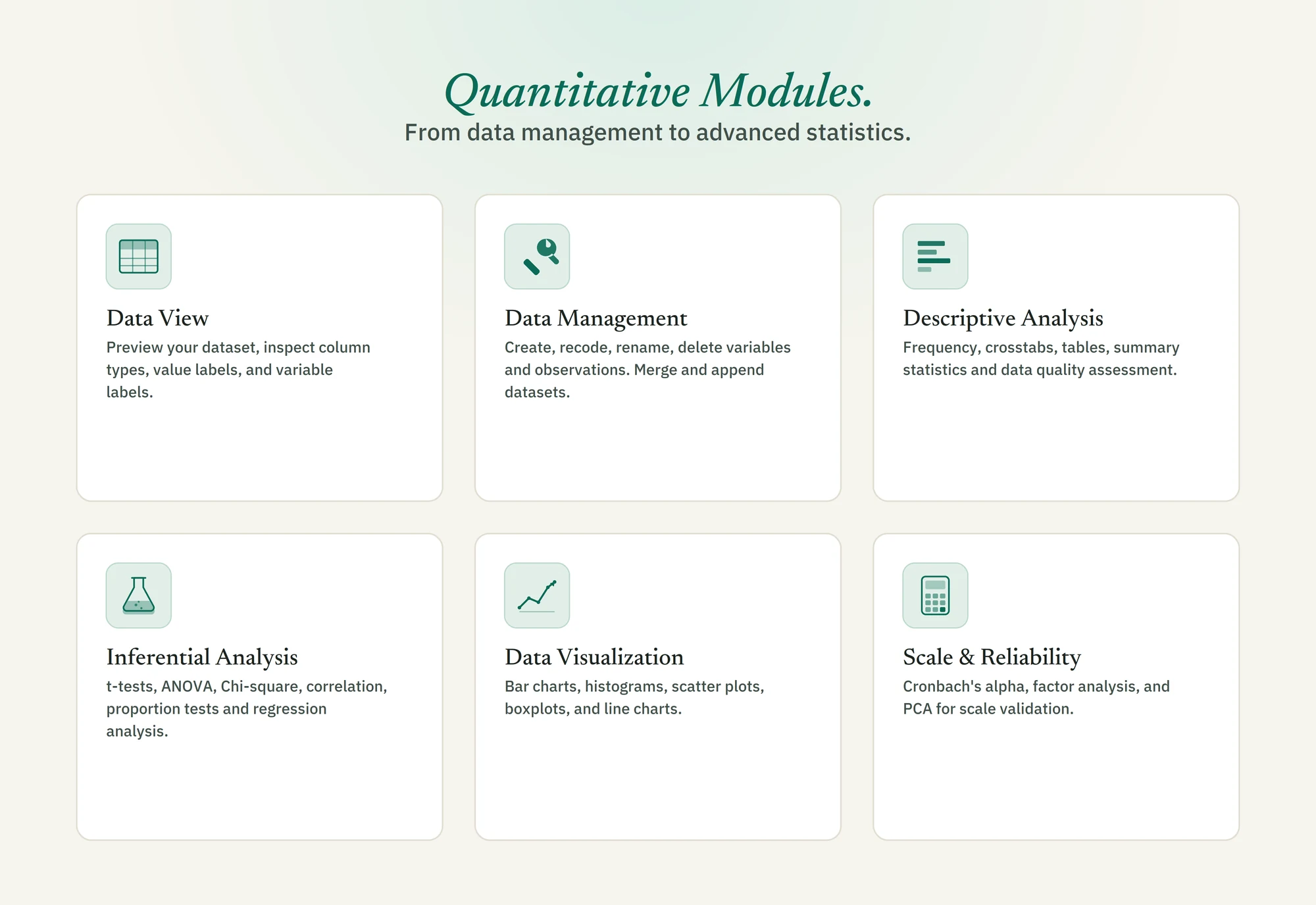 Quantitative analysis modules: Data View, Data Management, Descriptive Analysis, Inferential Analysis, Data Visualization, and Scale & Reliability